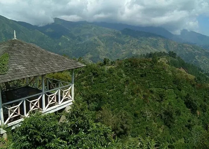 Jamaica suffers from severe weather, resulting in a 25% reduction in coffee production.