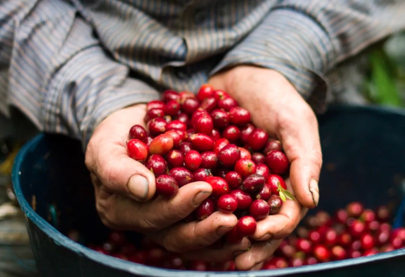 The Colombian government takes over FNC! A major change in the Colombian coffee industry.