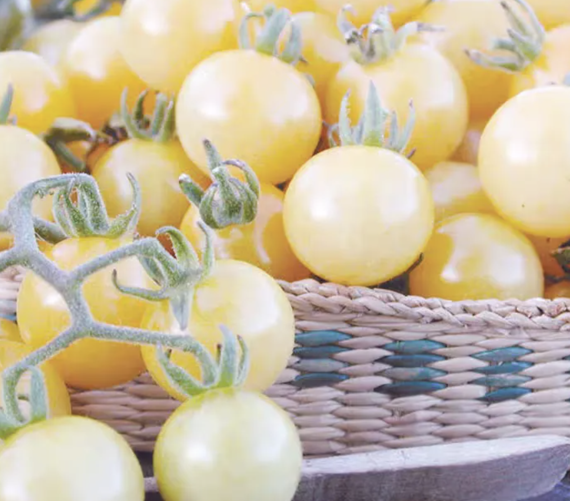 What is the difference between cherry tomatoes and regular tomatoes?